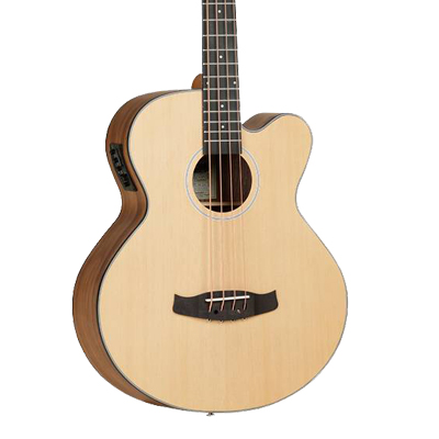 Acoustic Bass Guitars